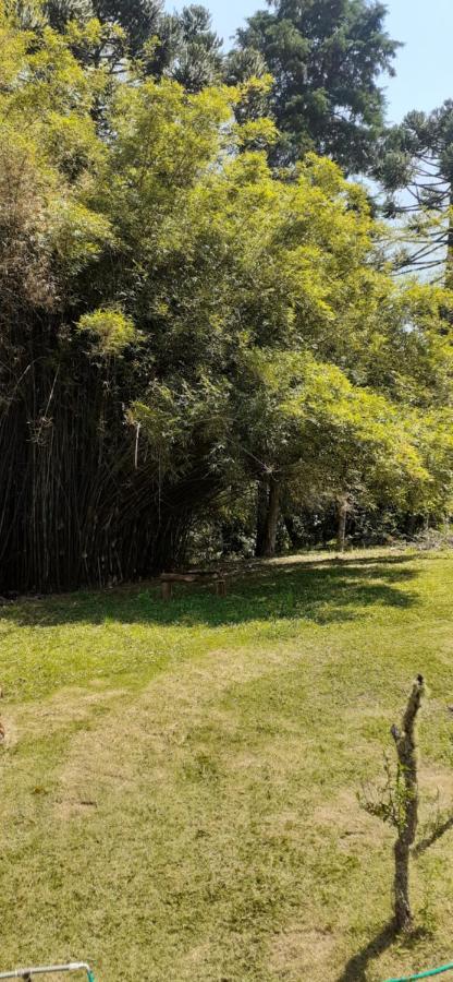 Pousada Pedacinho Do Ceu- Chale 1 クーニャ エクステリア 写真